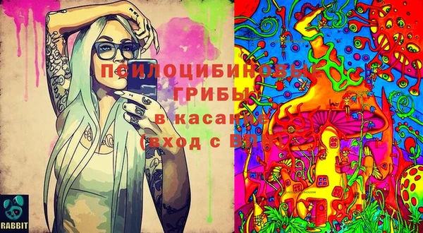 mdma Зеленодольск