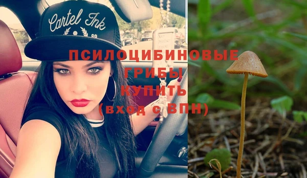 не бодяженный Зеленокумск