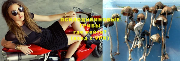 не бодяженный Зеленокумск